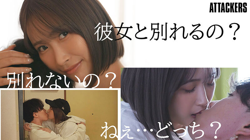 サンプル画像